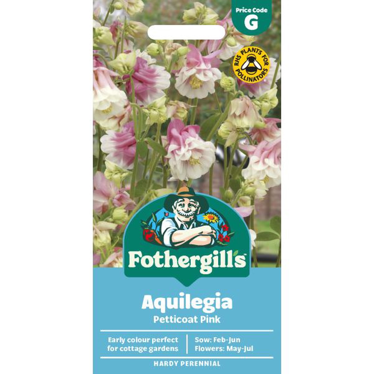 Aquilegia Petticoat Pink