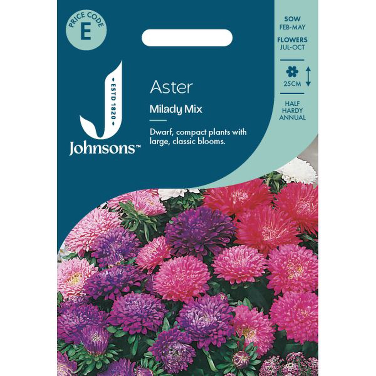 Aster Milady Mix Seeds