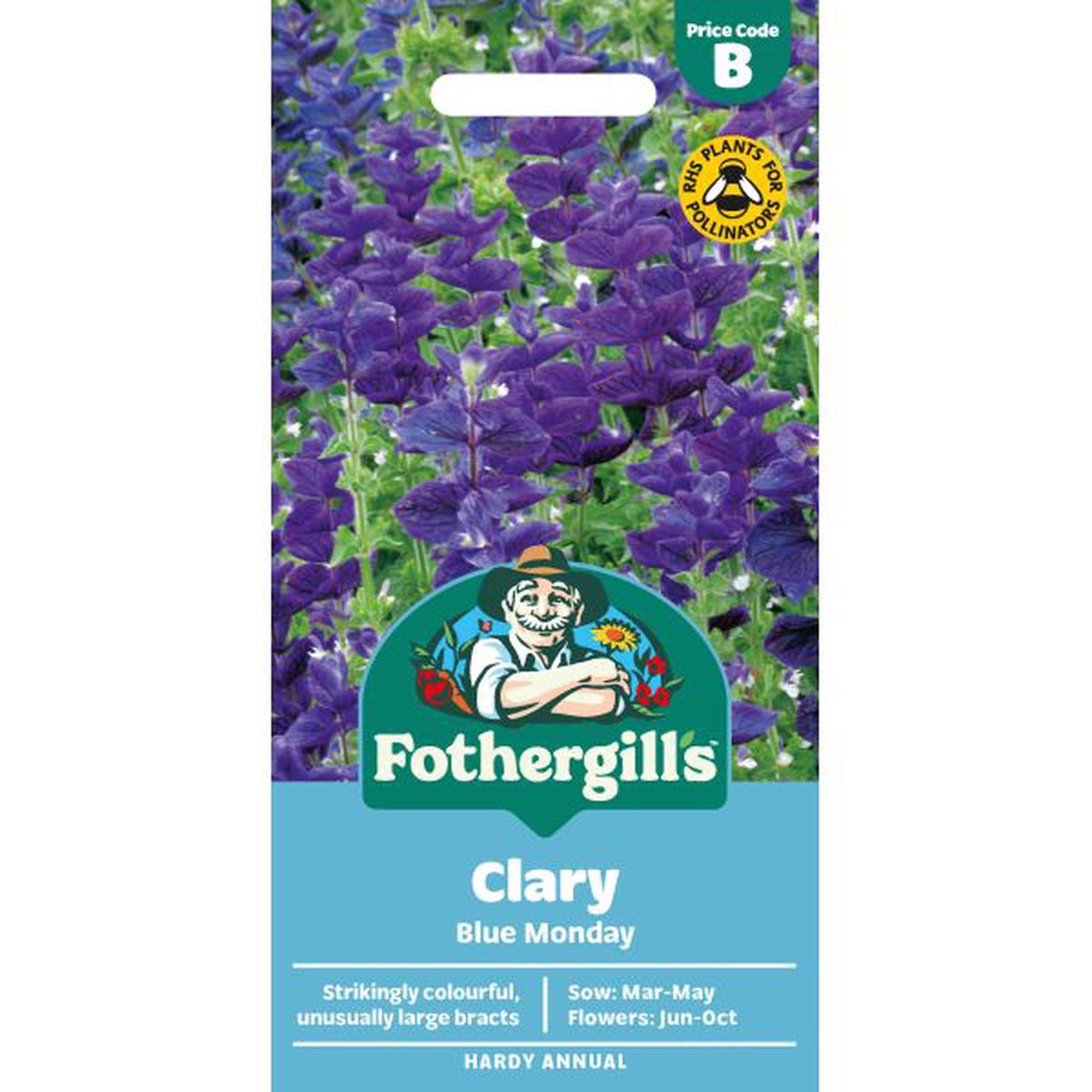 Clary Blue Monday Flower Seeds