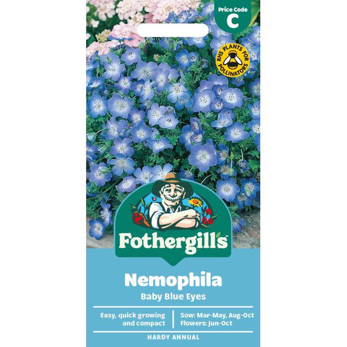 Nemophila Baby Blue Eyes