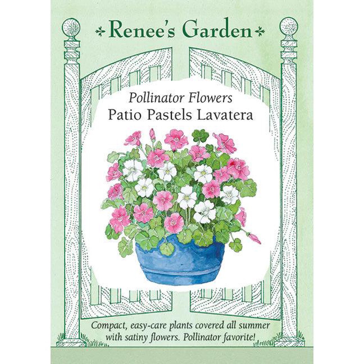 Patio Pastels Lavatera