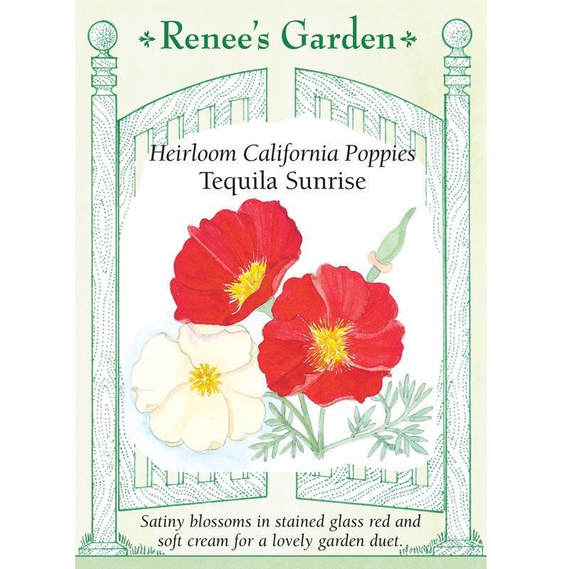 Tequila Sunrise California Poppy Flower Seeds