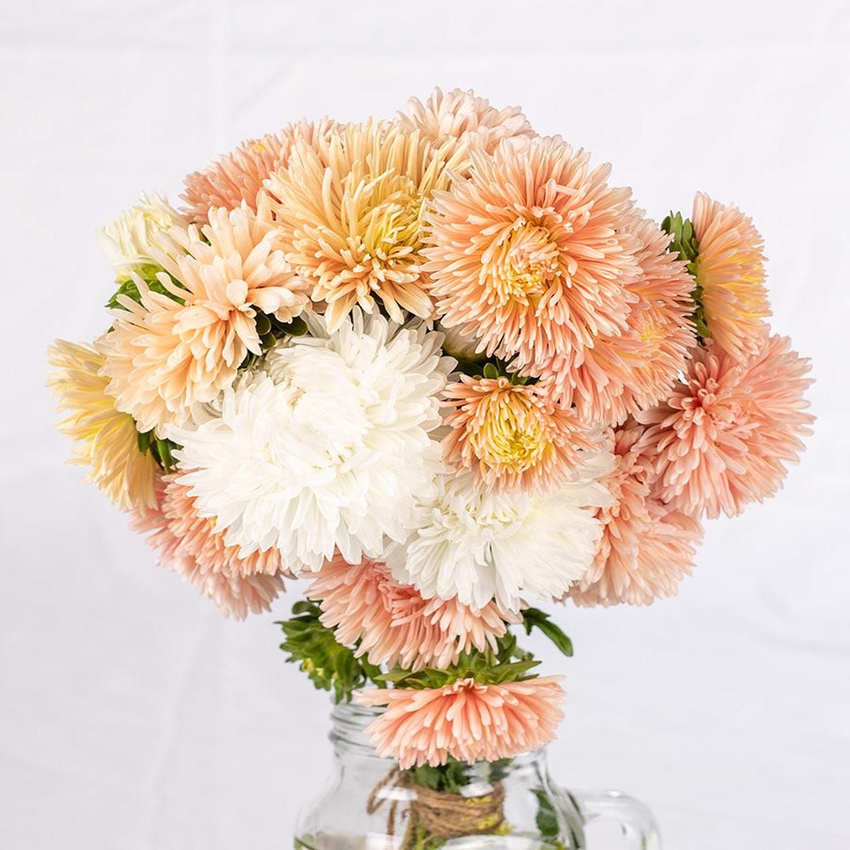 The Roses Mix