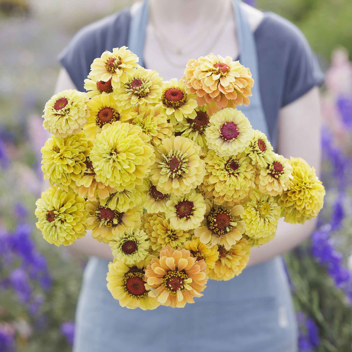 Zinnia Seeds - Queeny Lemon Peach