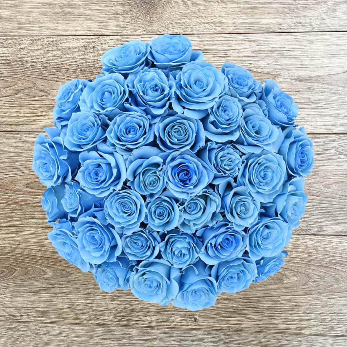 Light Blue Rose Flower Seeds for Planting  Heirloom, Non-GMO, Hardy High Germination Variety