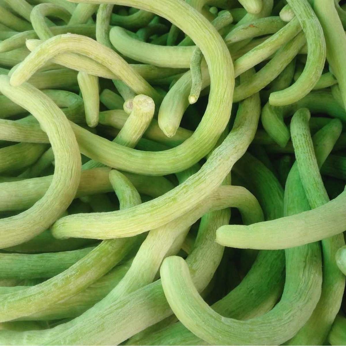 Long Cucumber Cucumis sativus Seeds for Planting vegetable patch urban garden
