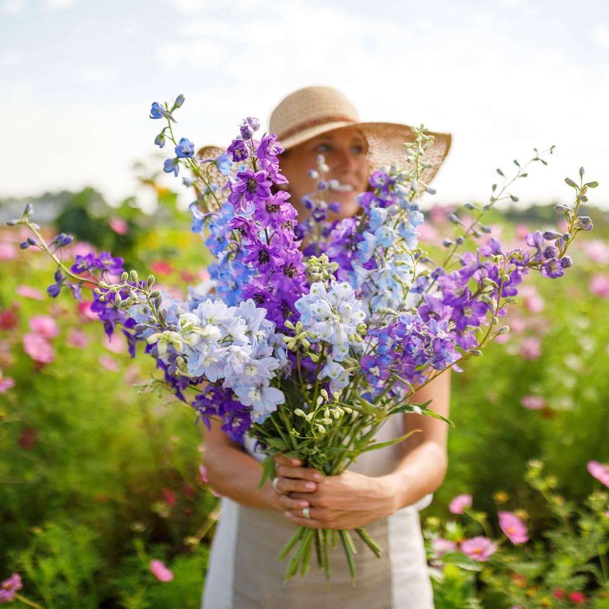 Rocket Larkspur Seeds - Imperial Mix