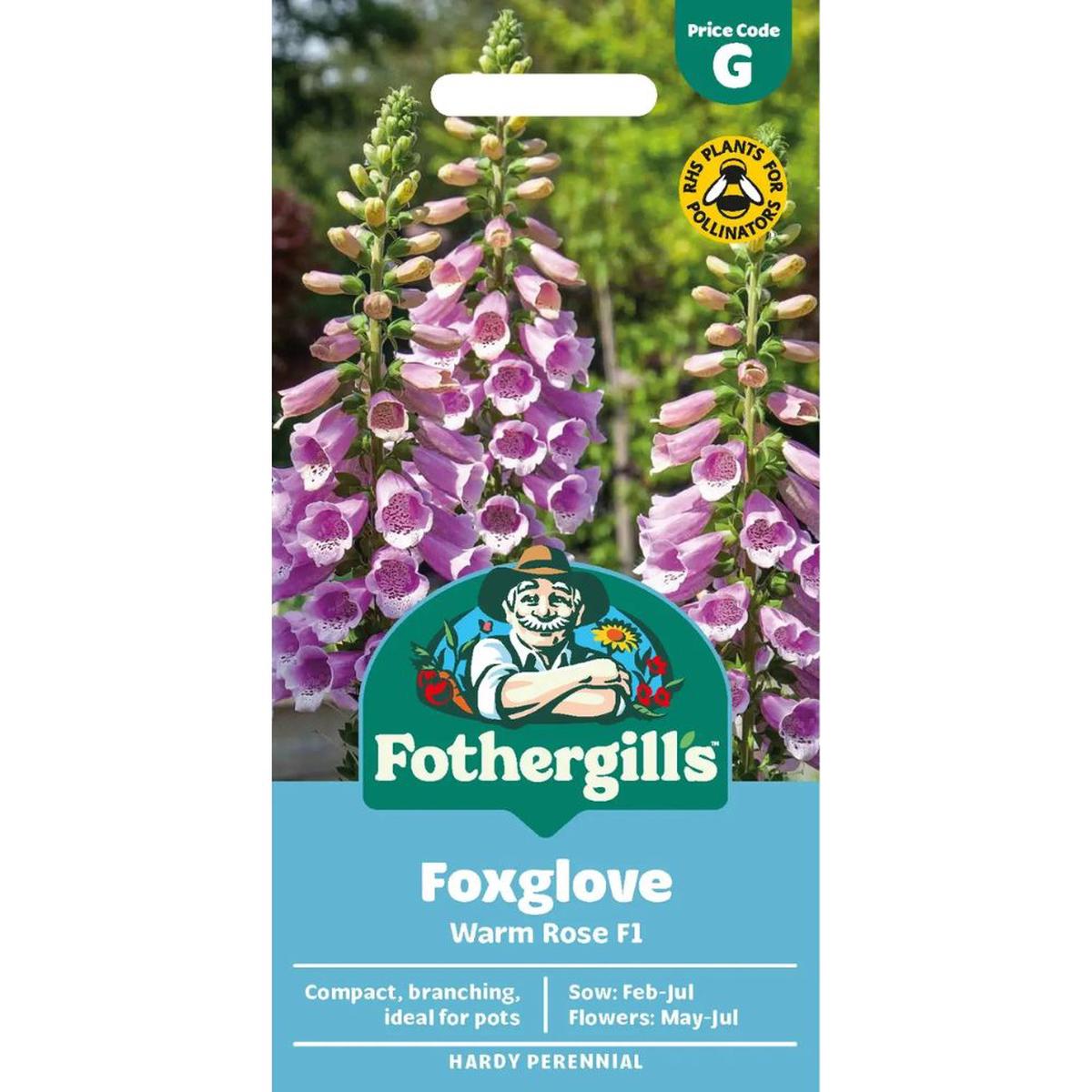 Mr Fothergill's Foxglove Dottie Warm Rose F1 Seeds
