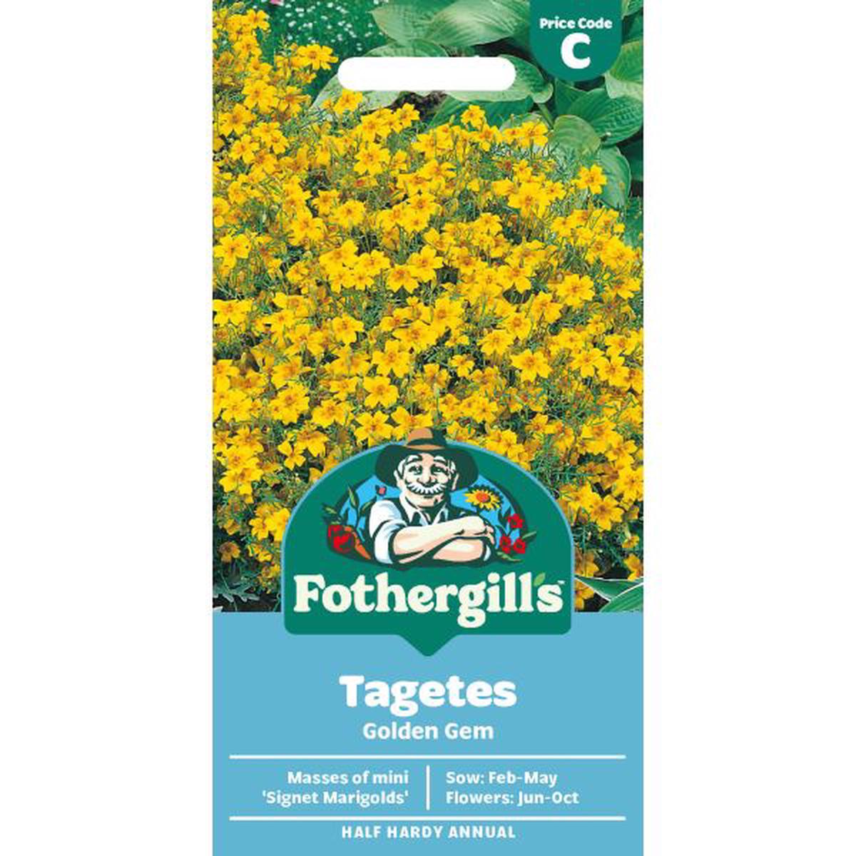 Tagetes Golden Gem Seeds