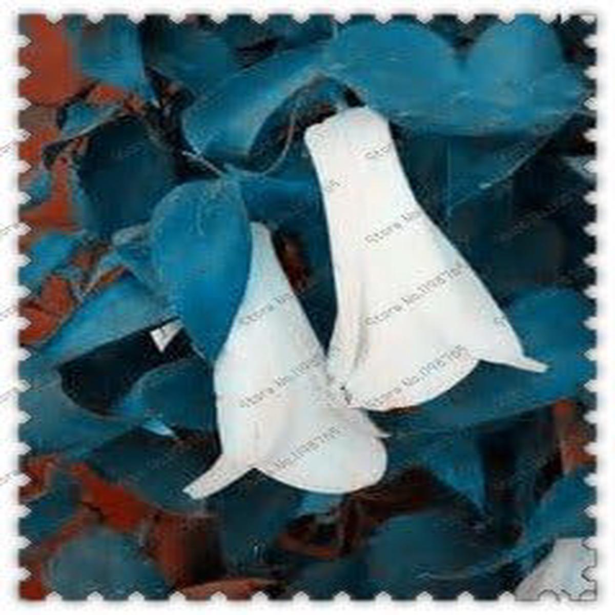 Organic White Lapageria Flower Seeds for Planting  Heirloom, Non-GMO