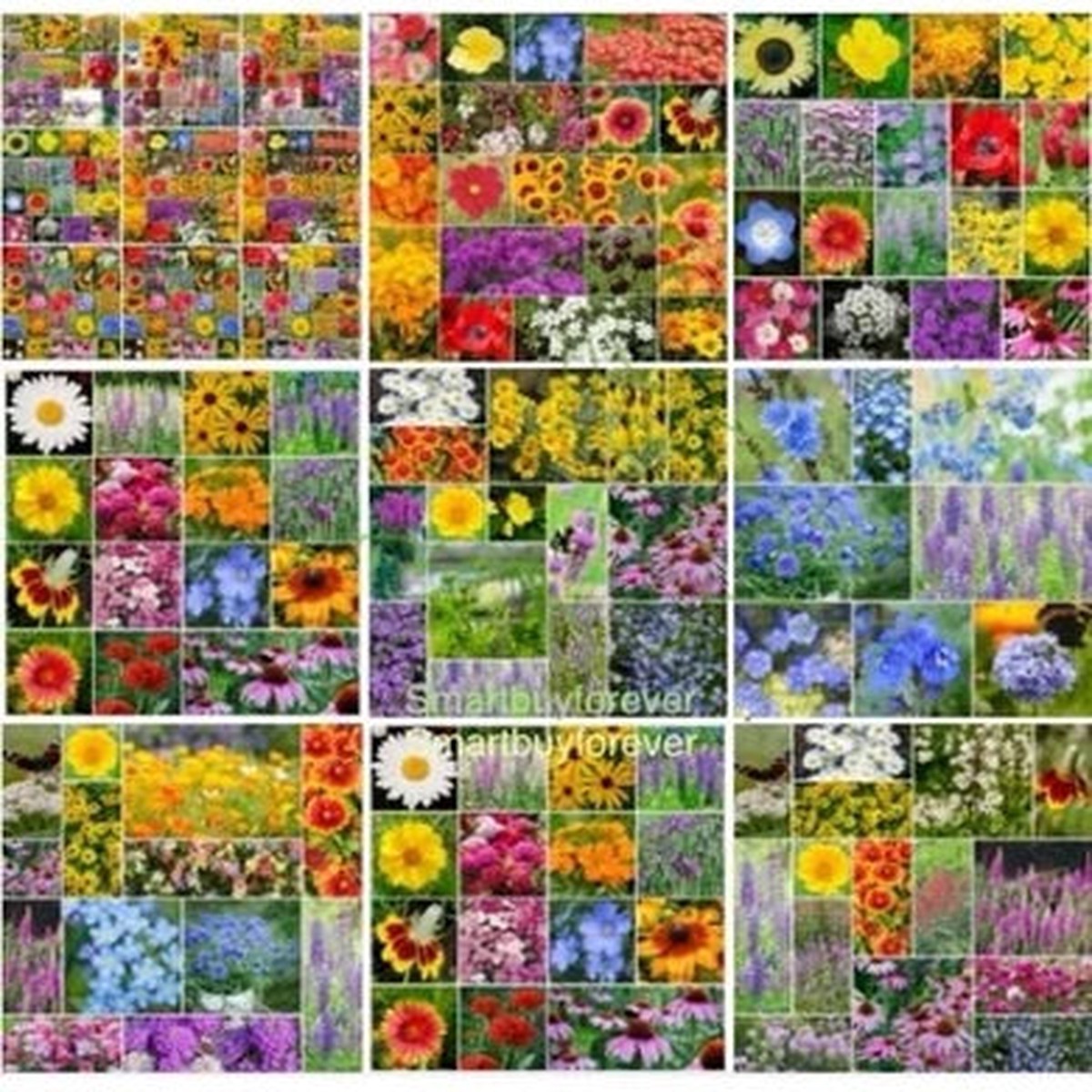 AnnualPerennial Wildflower Mix Seeds for Planting, Bulk -Non-GMO beautiful flowers USA Heirloom