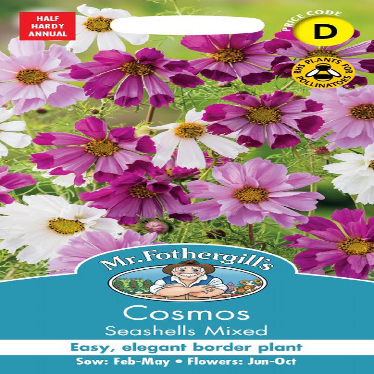 Cosmos Seashells Mix