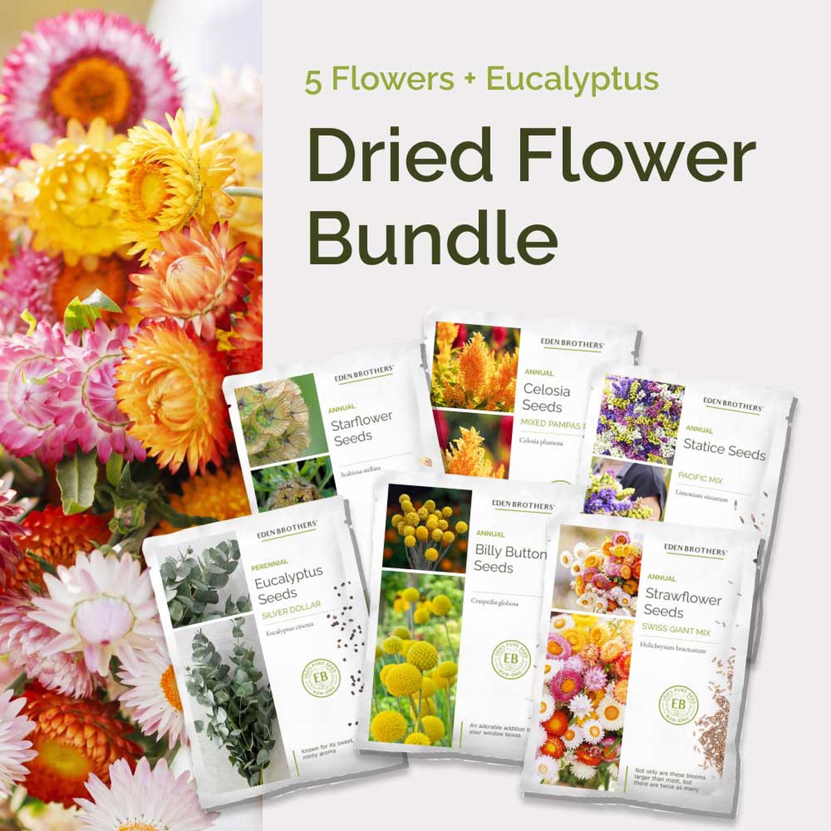 Dried Flower Bundle