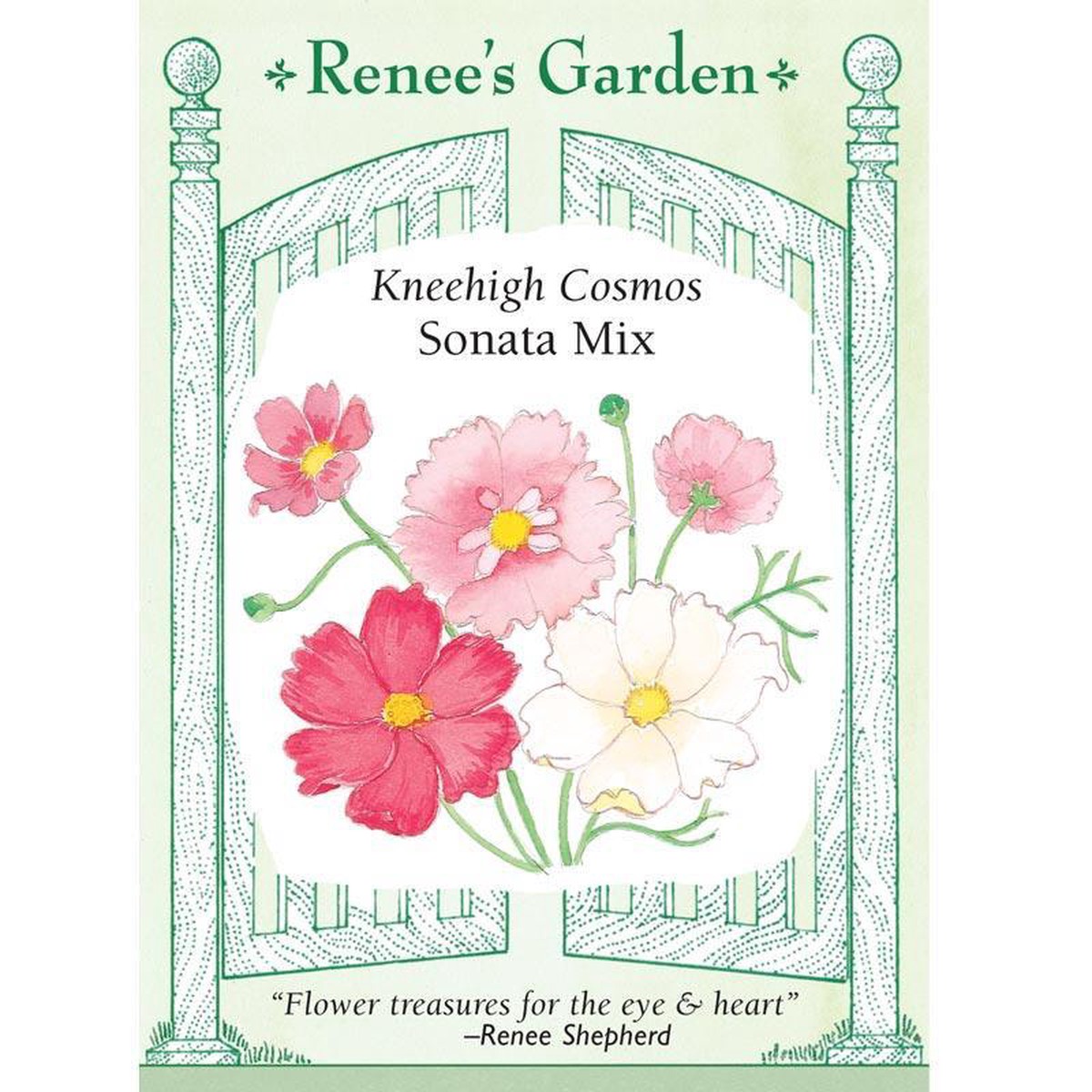 Sonata Knee-High Cosmos Flower Seed Mix