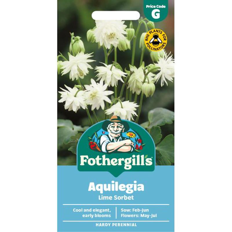 Aquilegia Lime Sorbet Seeds