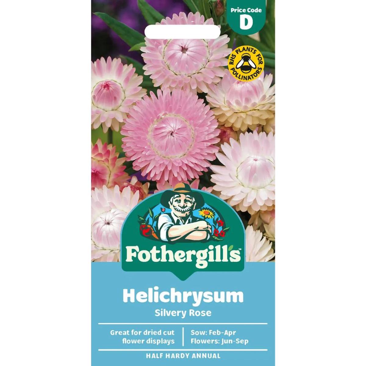 Mr Fothergills Helichrysum Silvery Rose Seeds