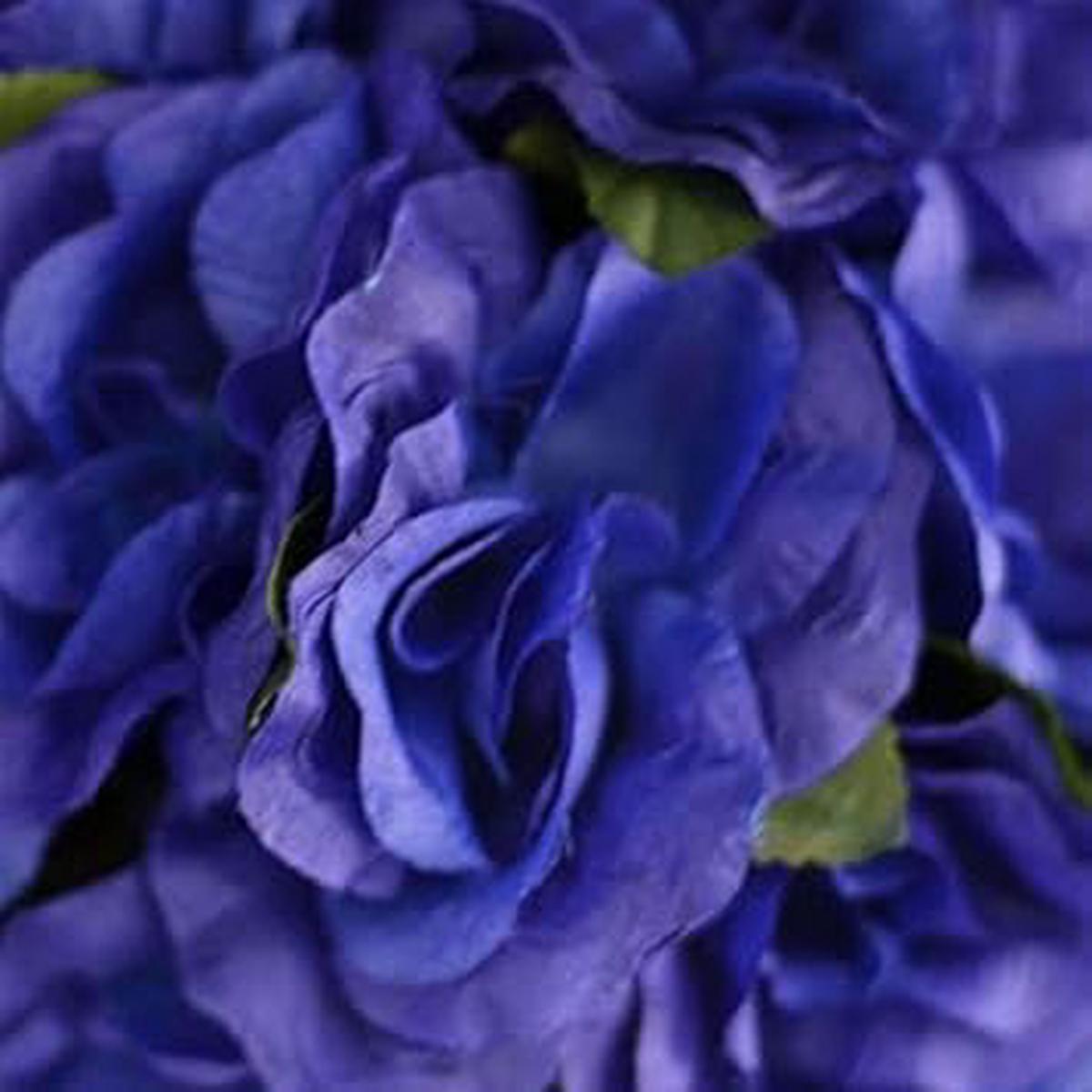 Navy Blue Maidenhair Flower Seeds for Planting Heirloom, Non-GMO, High Germination Organic Garden Seeds