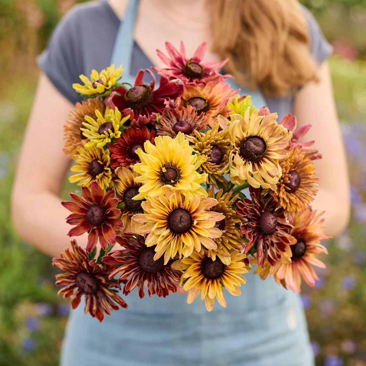 Black Eyed Susan Seeds - Sahara