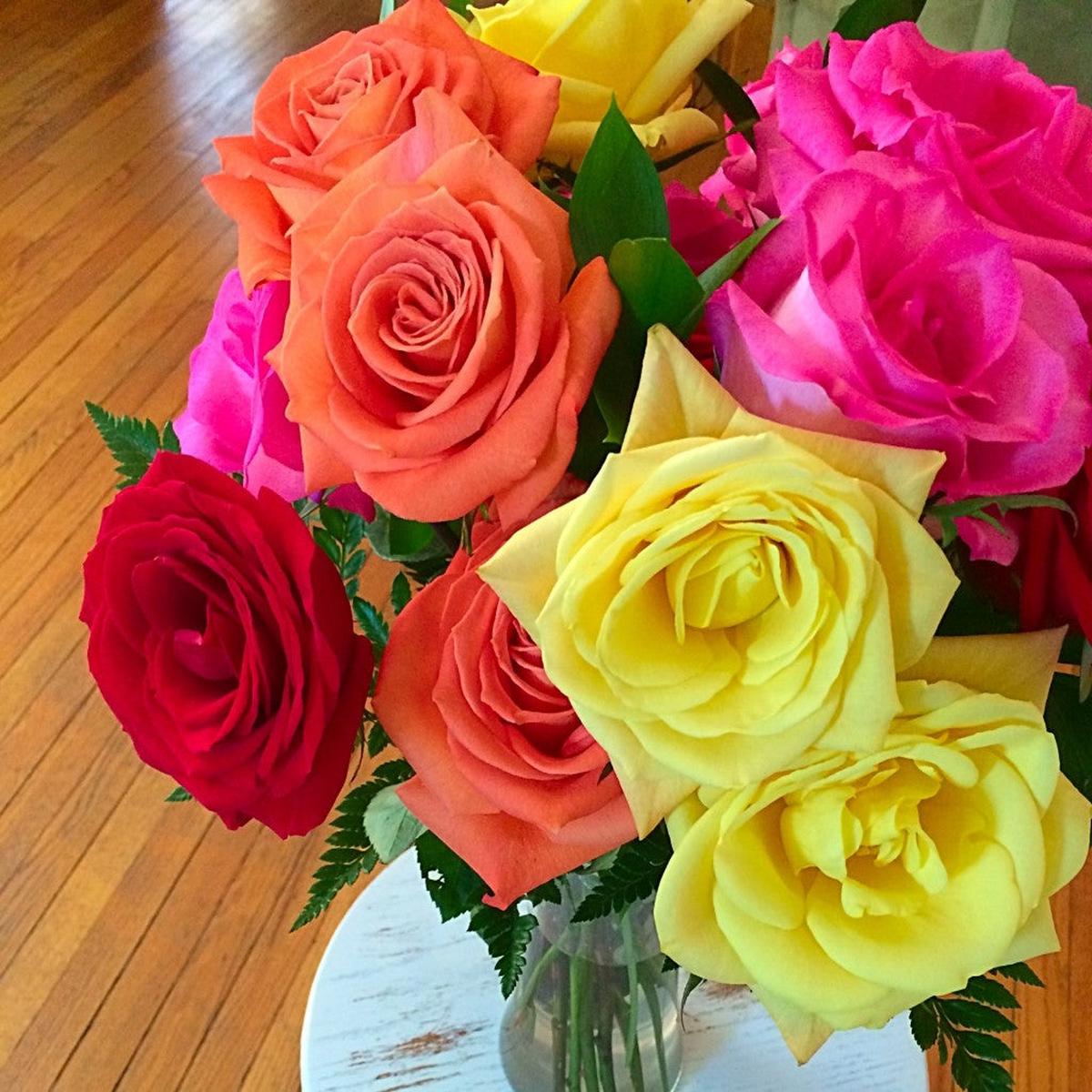 Mixed Rose Flower Seeds for Planting  Heirloom, Non-GMO, High Germination Organic Garden Seeds