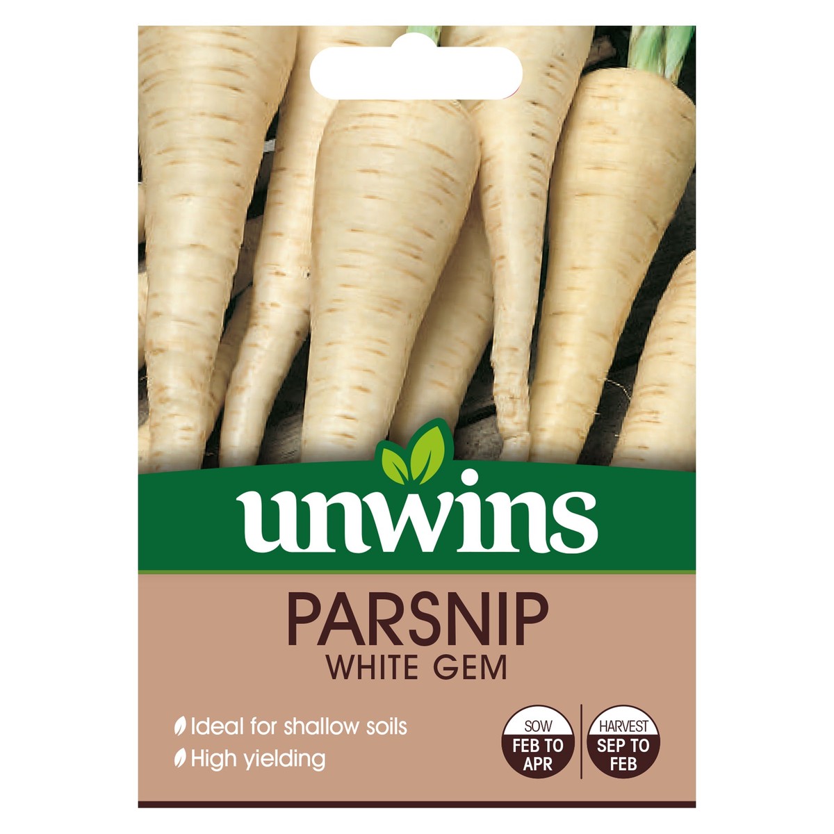 Parsnip White Gem Seeds