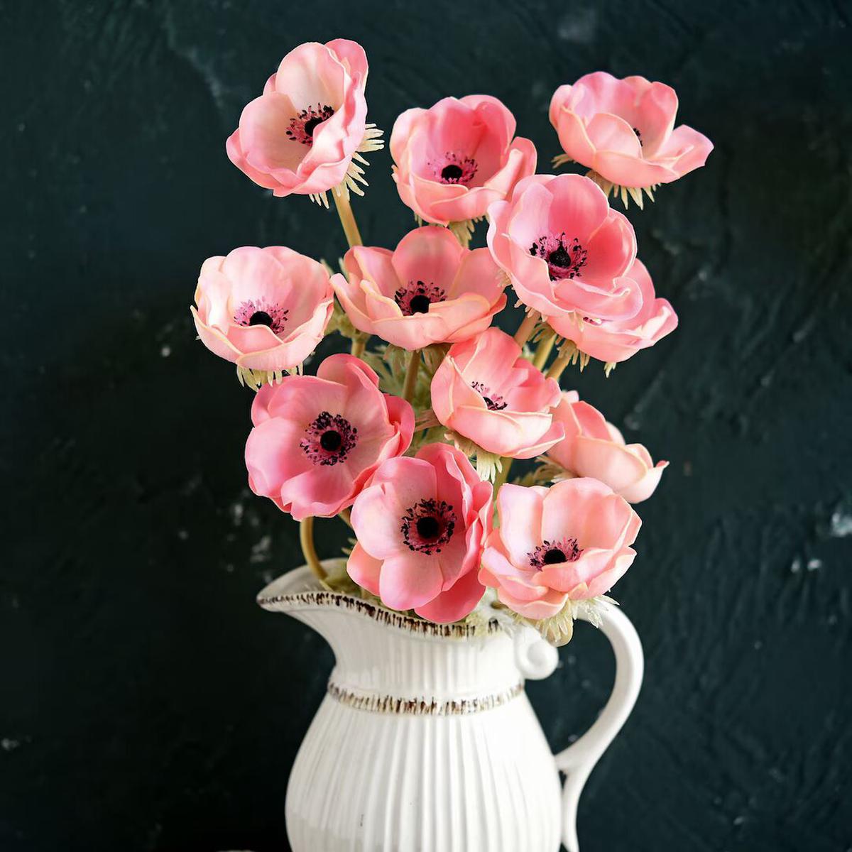Pink White Anemone Flower Seeds for Planting  Heirloom, Non-GMO, High Germination Organic Garden Seeds