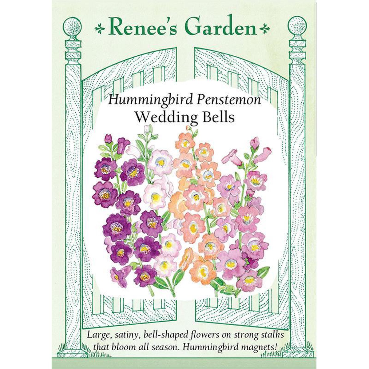 Wedding Bells Hummingbird Penstemon Flower Seeds