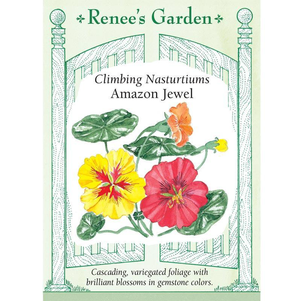Amazon Jewel Climbing Nasturtium Flower Seeds