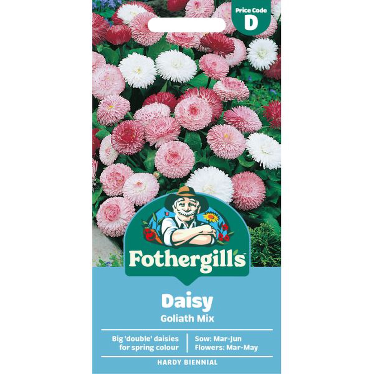 Bellis Goliath Mixed
