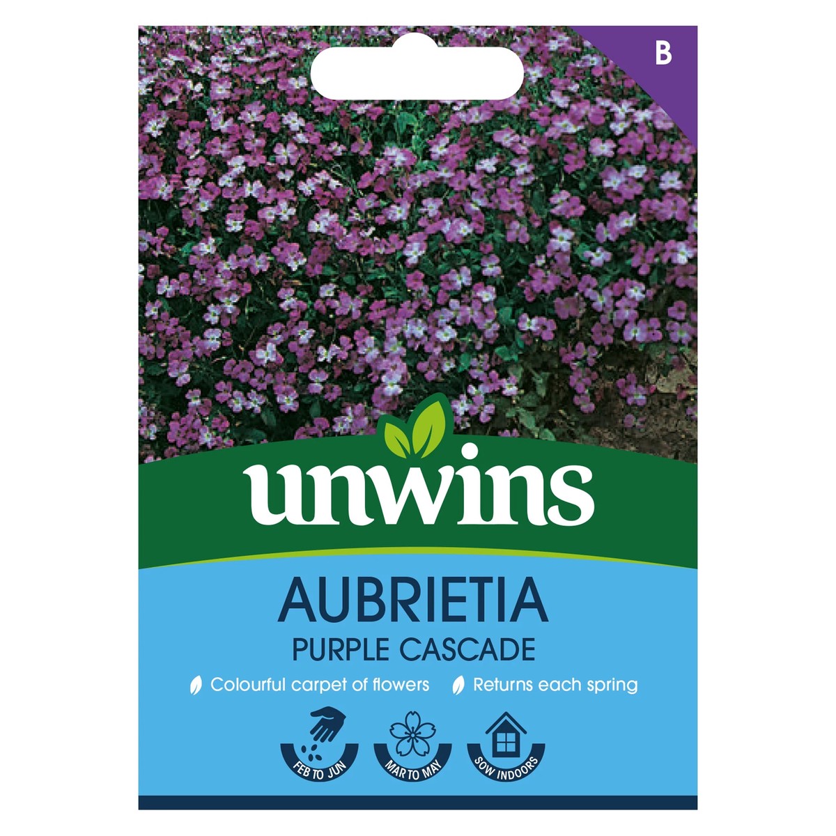 Aubrieta Purple Cascade