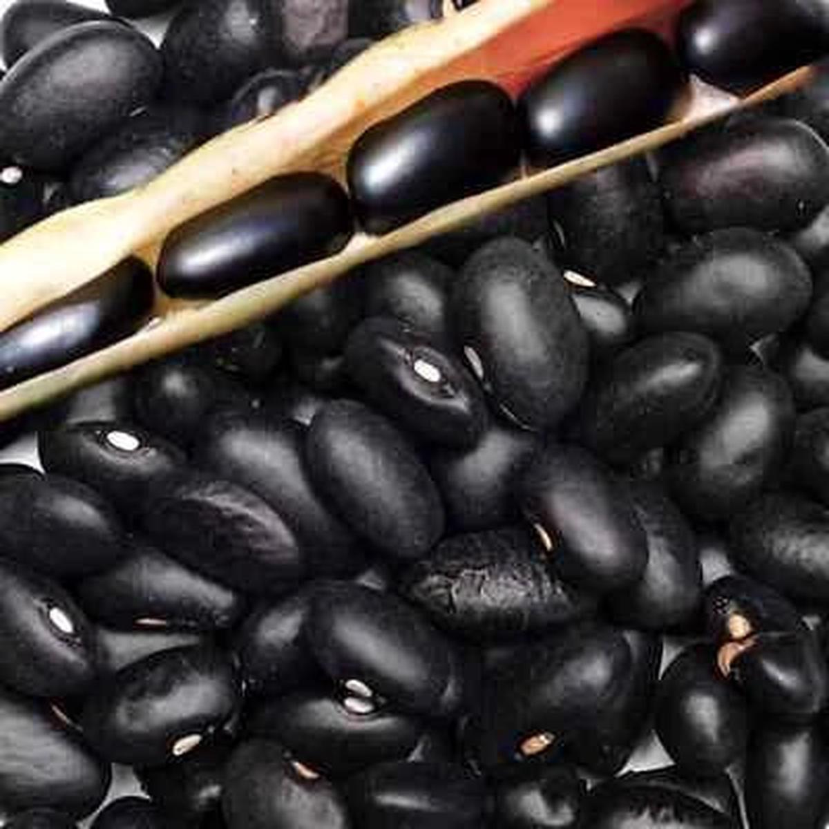 Black Pound Bean Planting Heirloom Non Gmo Flower Seeds Home Garden Planting, Premium