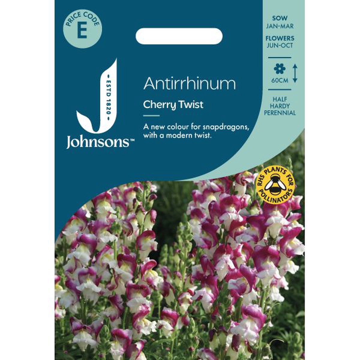 Antirrhinum Cherry Twist Seeds