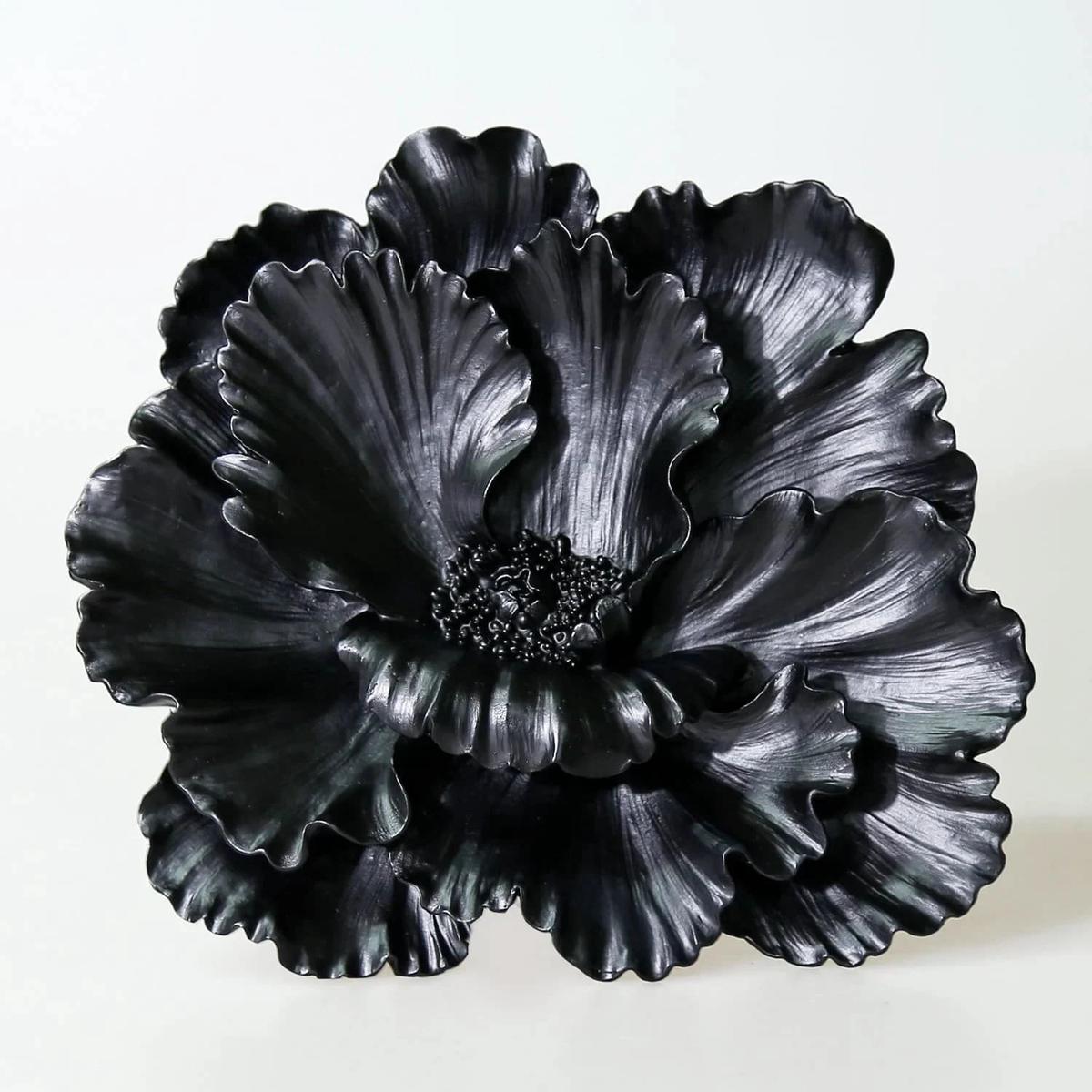 Black Azalea Flower seeds for Planting  Fragrant Blossoms, Heirloom, Non-GMO Seeds for Home Garden