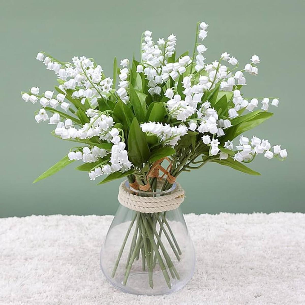 White Windbell Orchid Flower Seeds for Planting Heirloom Non-GMO, High Germination Organic Garden Seeds