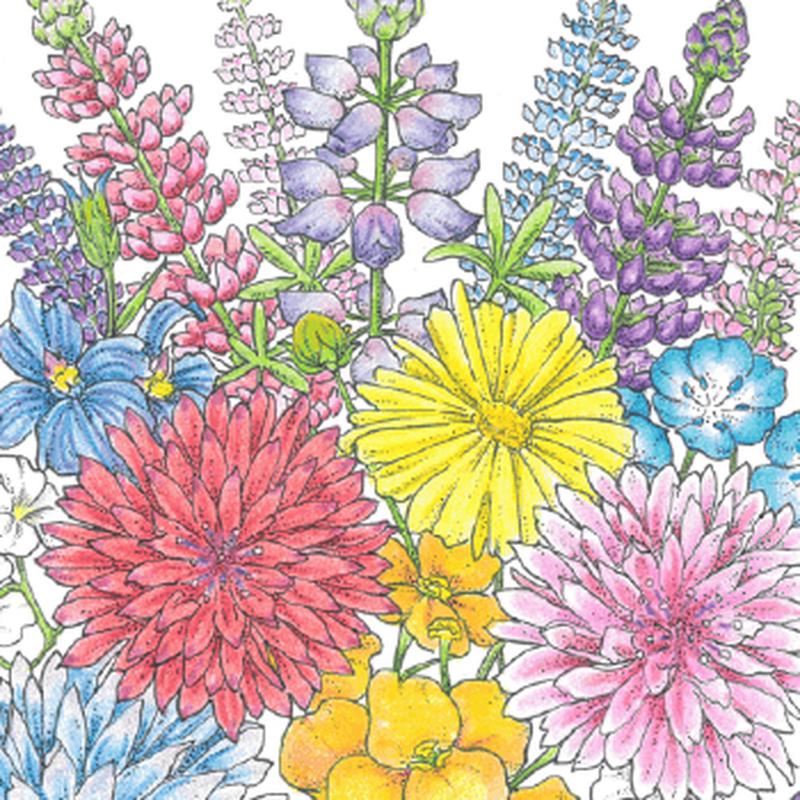 Willamette Valley Wildflower Mix (1/4 lb)