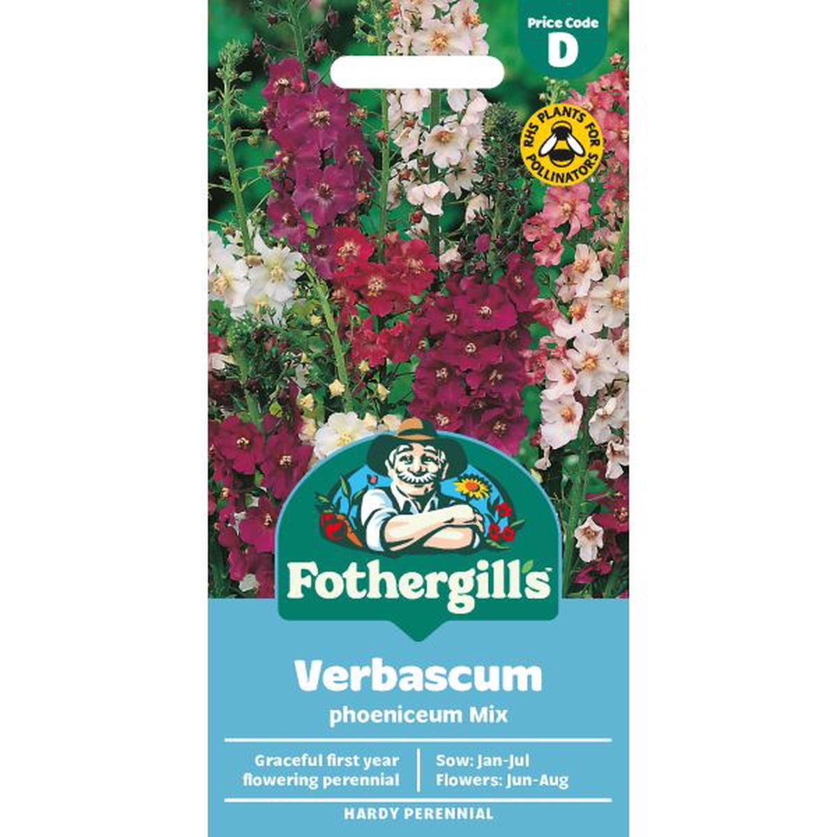 Verbascum Mixed Seeds