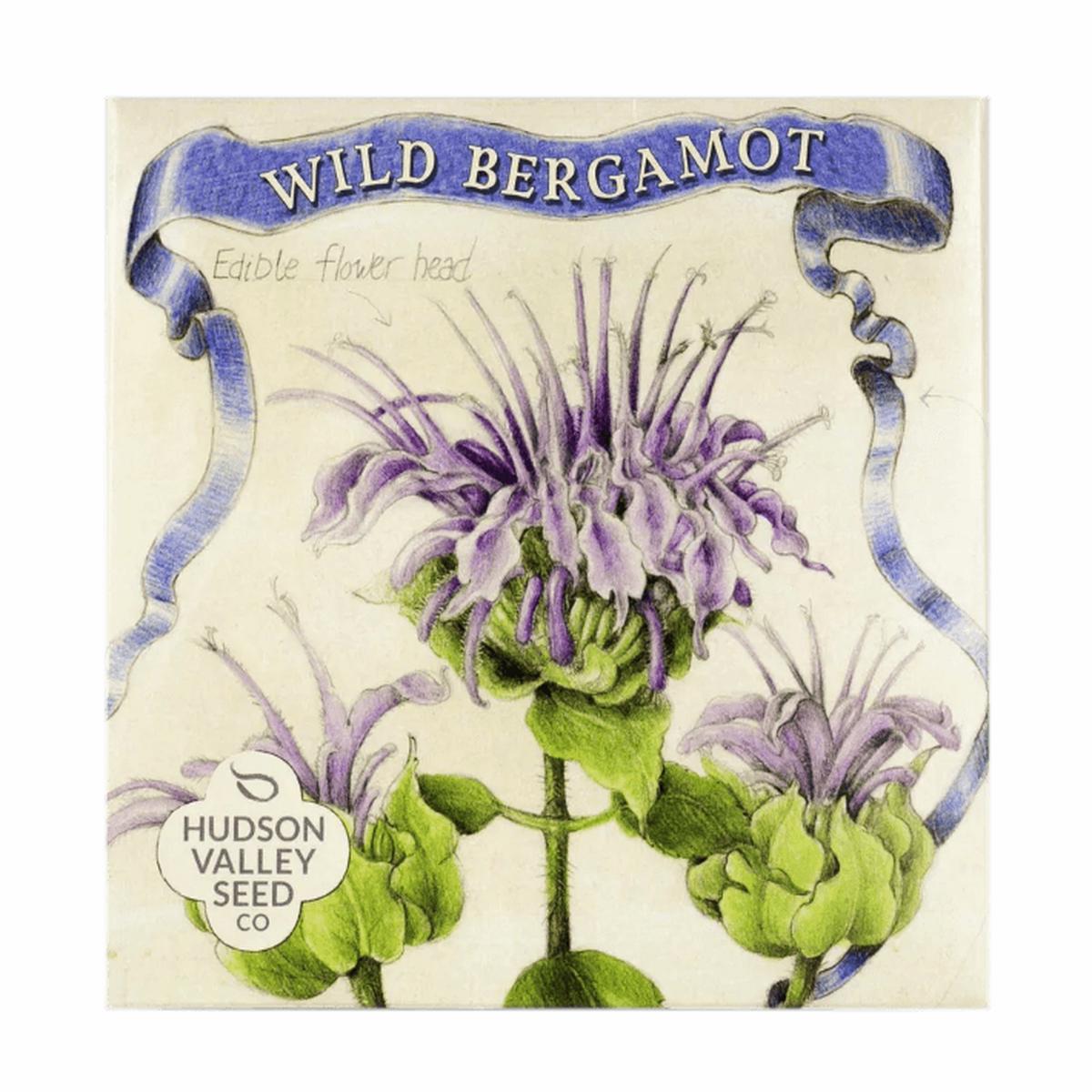 Wild Bergamot Art Pack