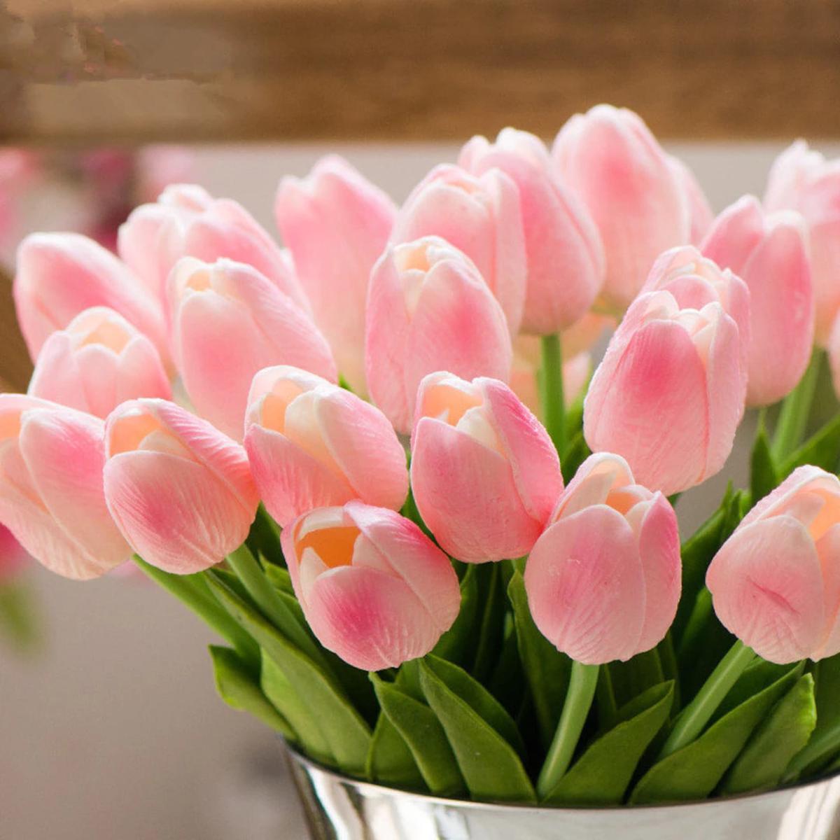 Baby Pink Tulip Flower Seeds for Planting | Heirloom Non-GMO Organic Garden Seeds High Germination