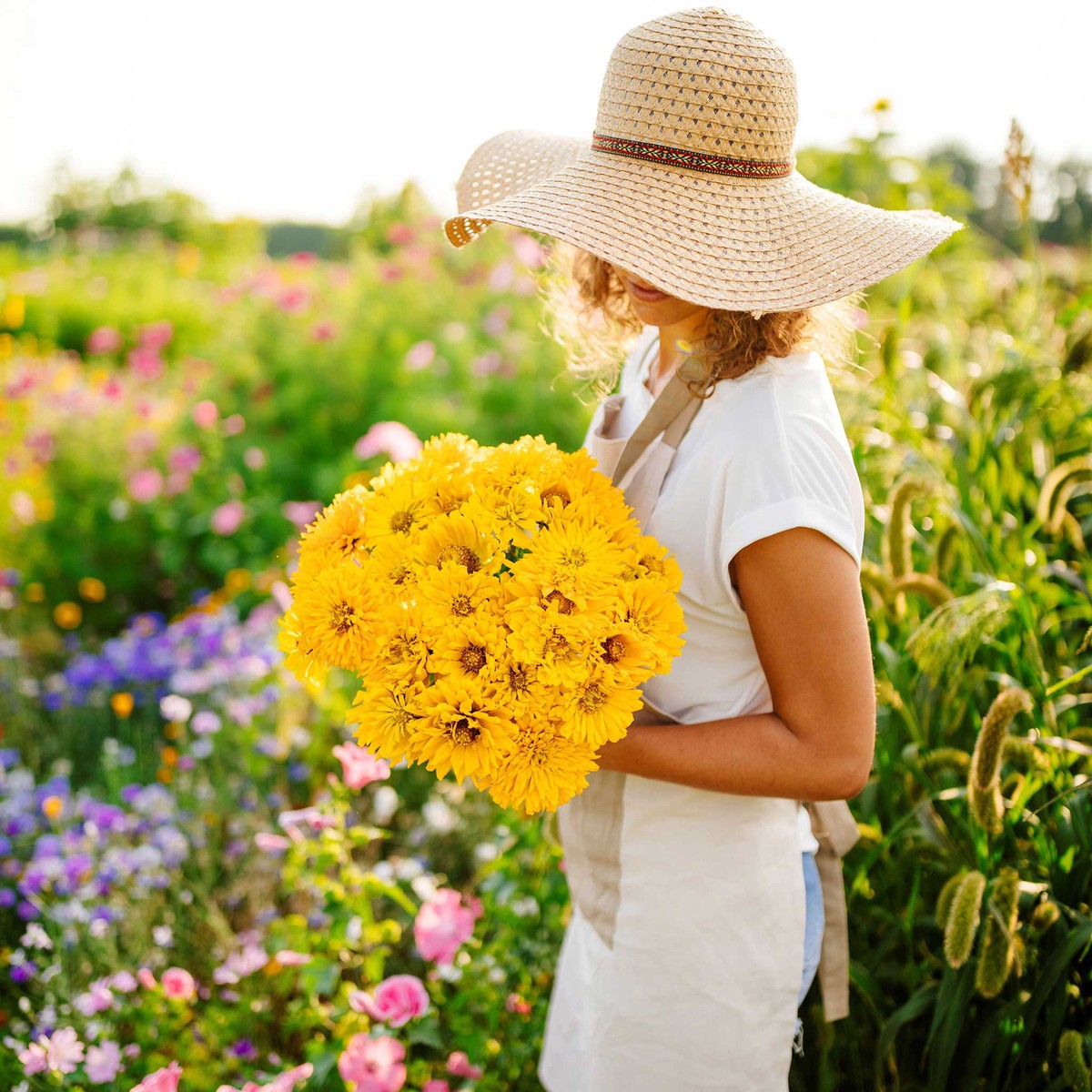 Zinnia Seeds - Super Cactus Sungod