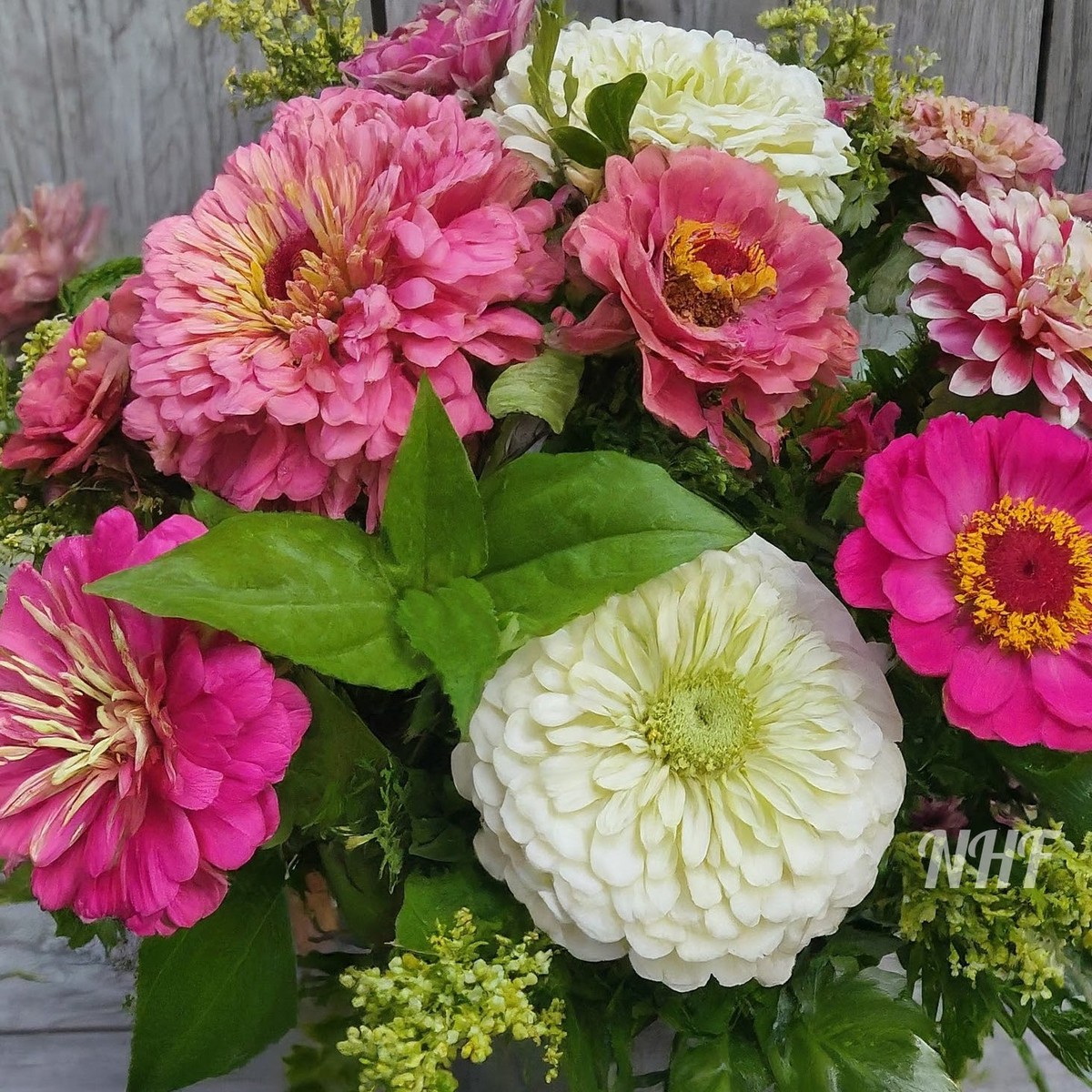 200 Strawberry Swirl Zinnia Flower Seeds