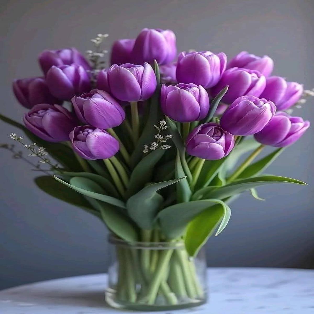 Violet Tulip Flower Seeds for Planting Heirloom, Non-GMO, Shade Tolerant, High Germination