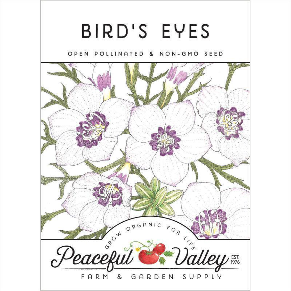 Bird8217s Eyes (pack)