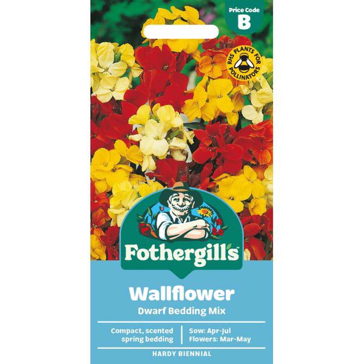 Wallflower Dwarf Bedding Mixed