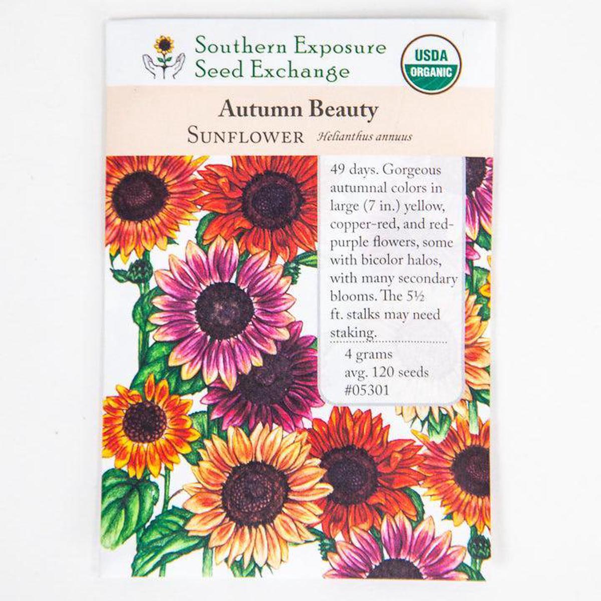 Autumn Beauty Sunflower (Organic)
