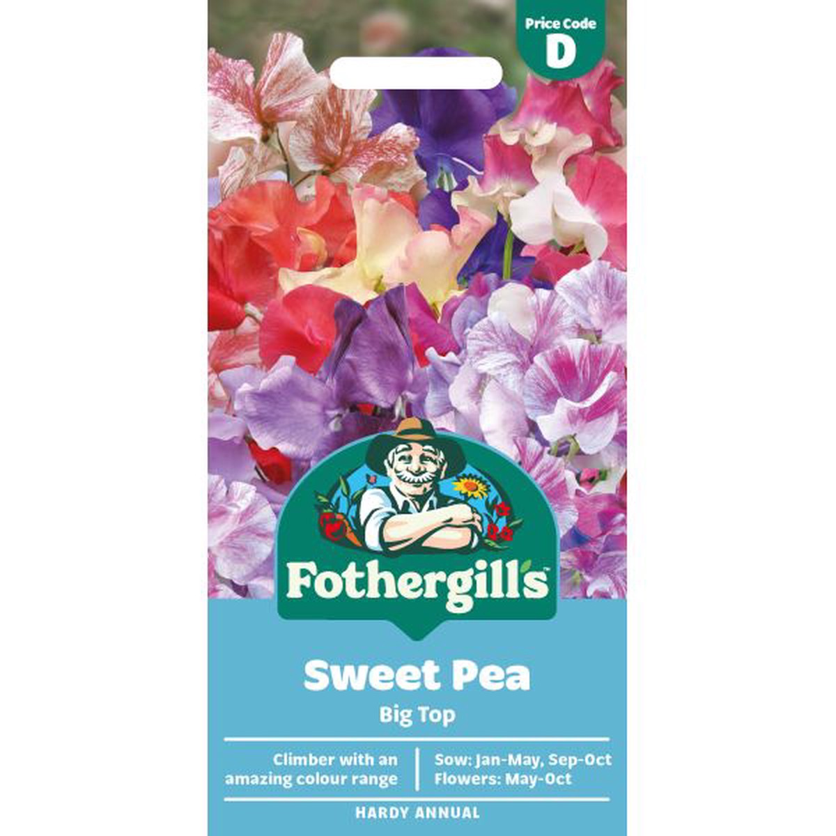 Sweet Pea Big Top Seeds