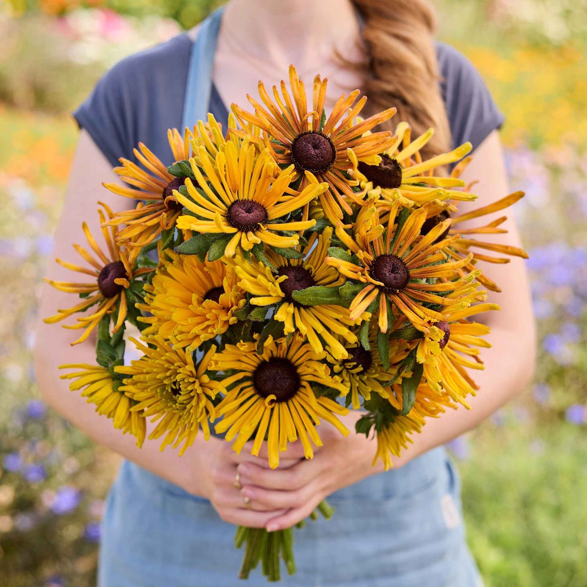 Black Eyed Susan Seeds - Chim Chiminee