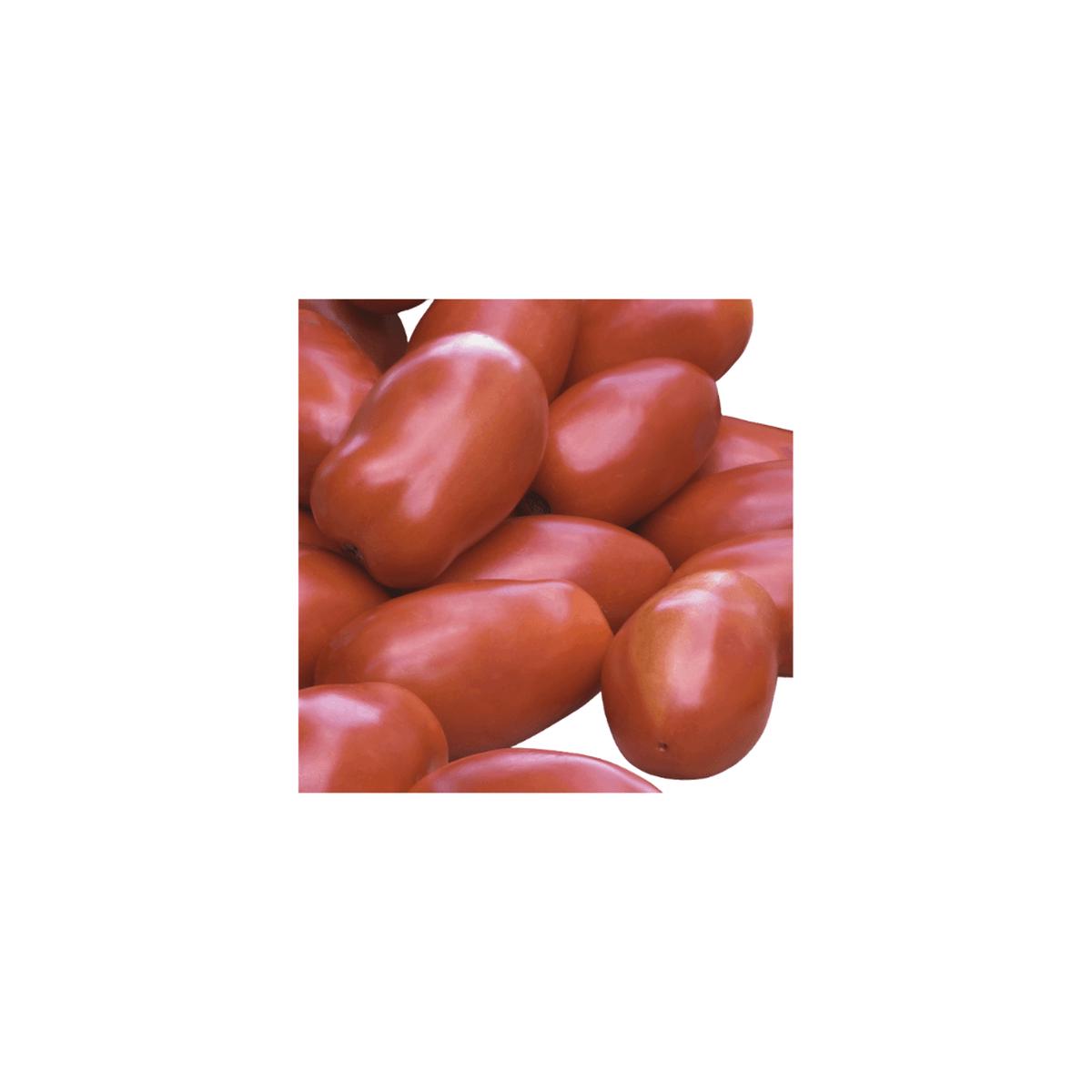 Tomato San Marzano Organic Seeds | OSC Seeds