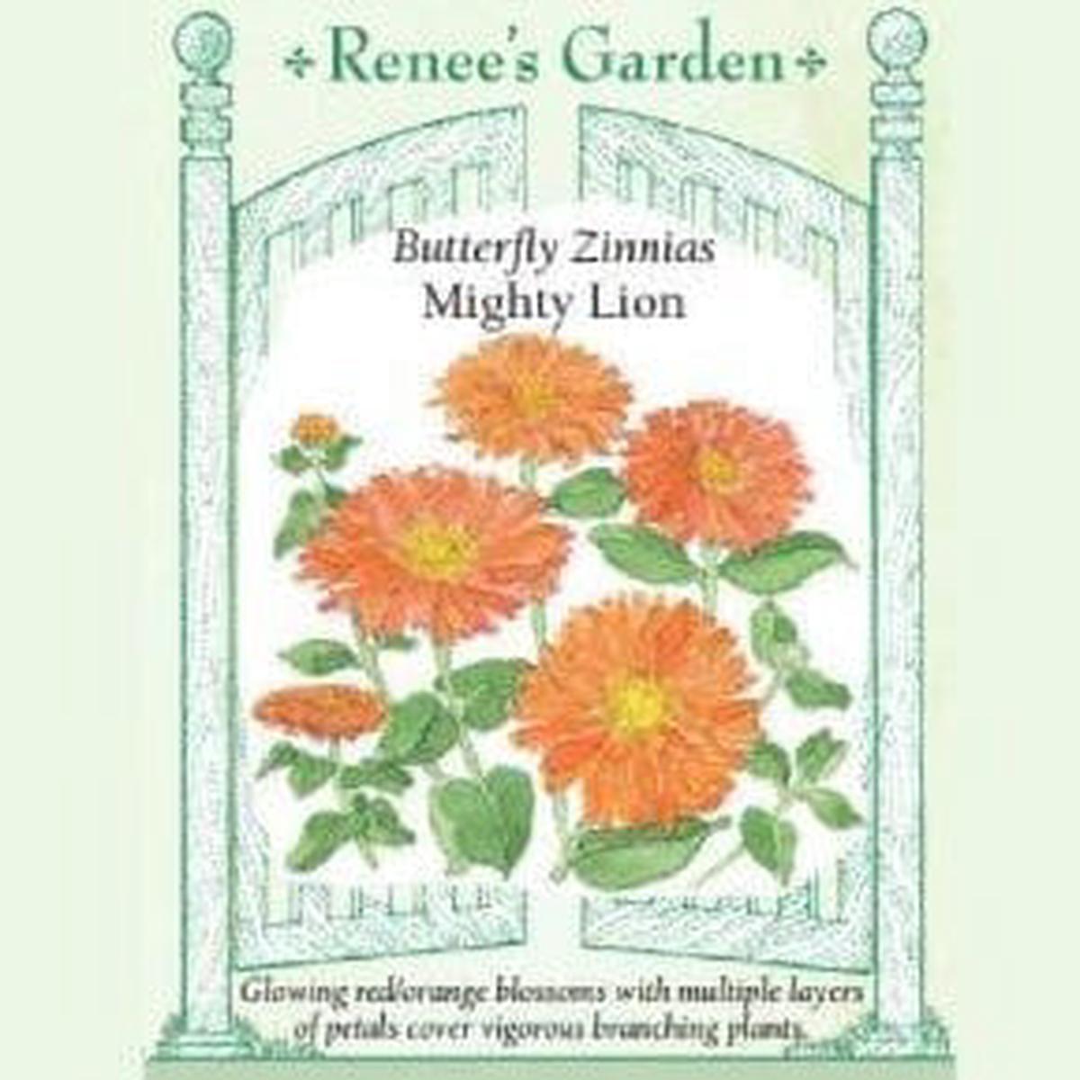 Zinnia Mighty Lion - Renee's Garden