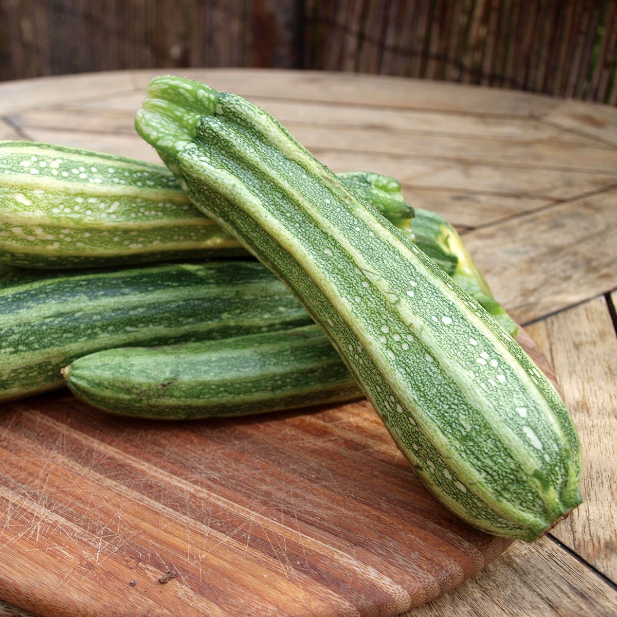Zucchini 'Costata Romanesco'