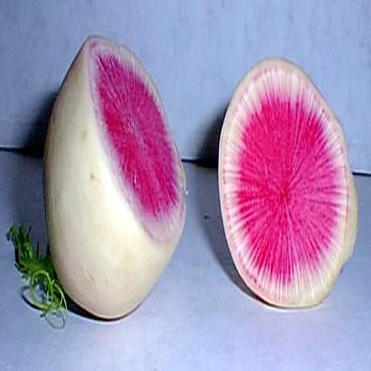Watermelon Radish Seeds - 300 Seeds