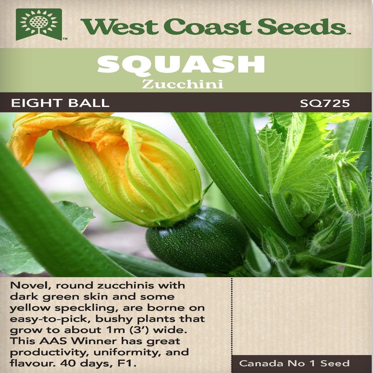 Zucchini Eight Ball - West Coast Seeds